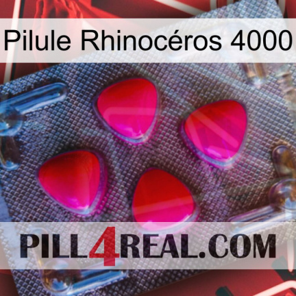 Pilule Rhinocéros 4000 13